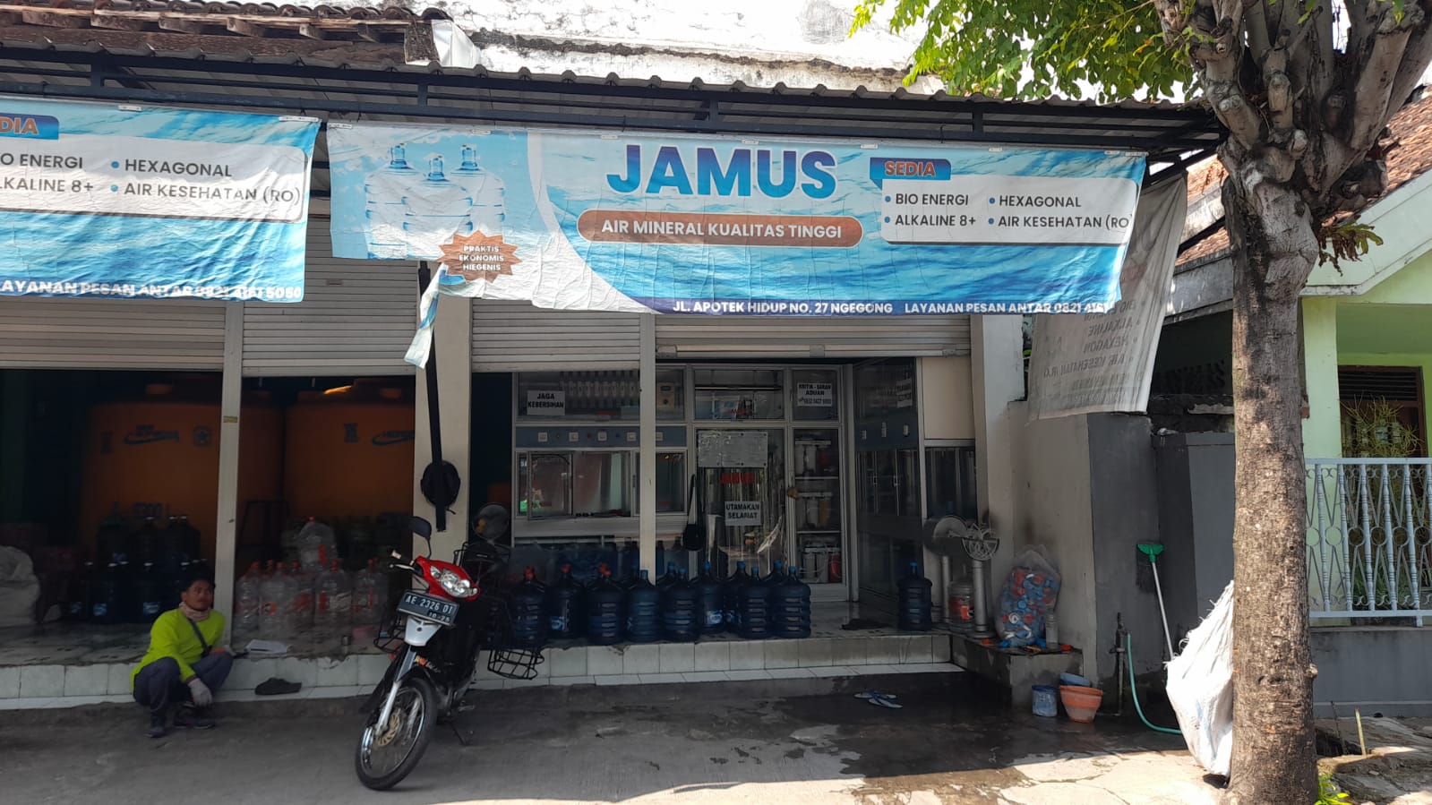 Jamus