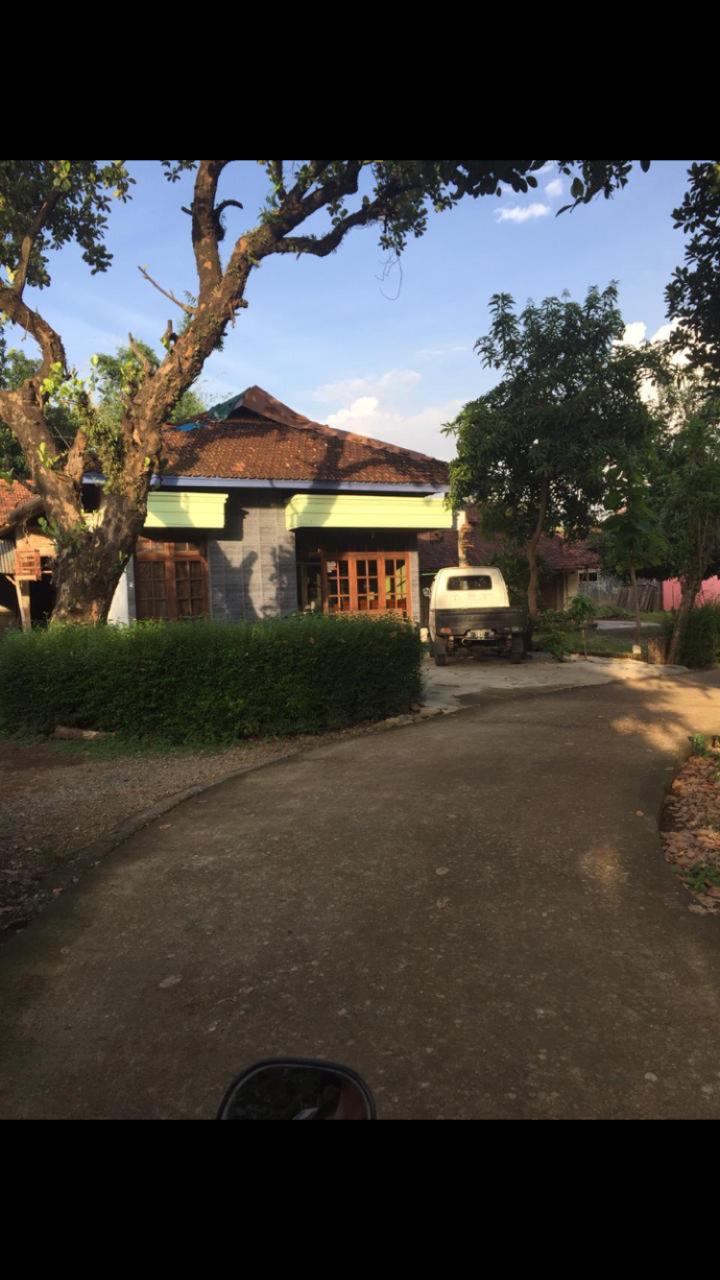 Pak Jono krupuk